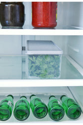 Derin Dondurucu Saklama Kabı 2 L, Gri