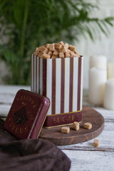 Er022-8j Circus Cream Sugar Desenli Kare Metal Saklama Kabı 11x11 Cm