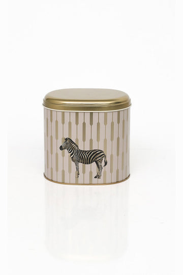 Safari Zebra