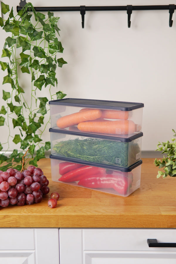Evle Derin Dondurucu Saklama Kabı 3'lü Set (3 x 2 Lt), Mavi