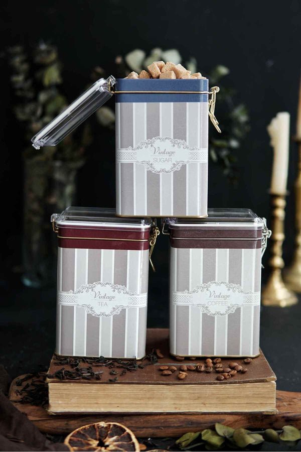 Evle Dikdörtgen Kilitli Saklama Kabı 75x100x150 3 lü Set, Elegance