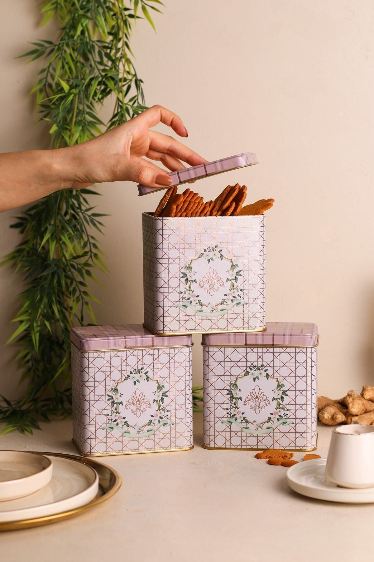 Evle Dikdörtgen Saklama Kabı 80x120 3 lü Set, Rosy