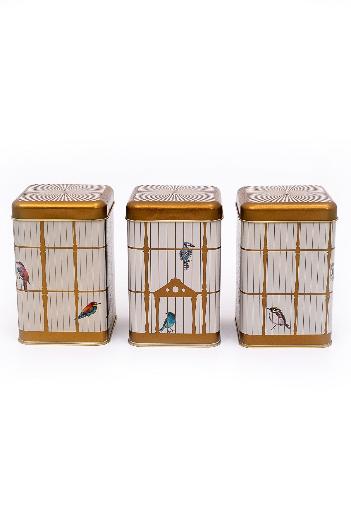 Evle Kare Saklama Kabı 105x105x160 3 lü Set, Bird Cage