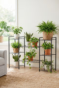 Evle 8 Raflı Metal Saksılık Çok Katlı Çiçek Standı Balkon Salon Bitki Rafı Siyah 30x125x83 cm