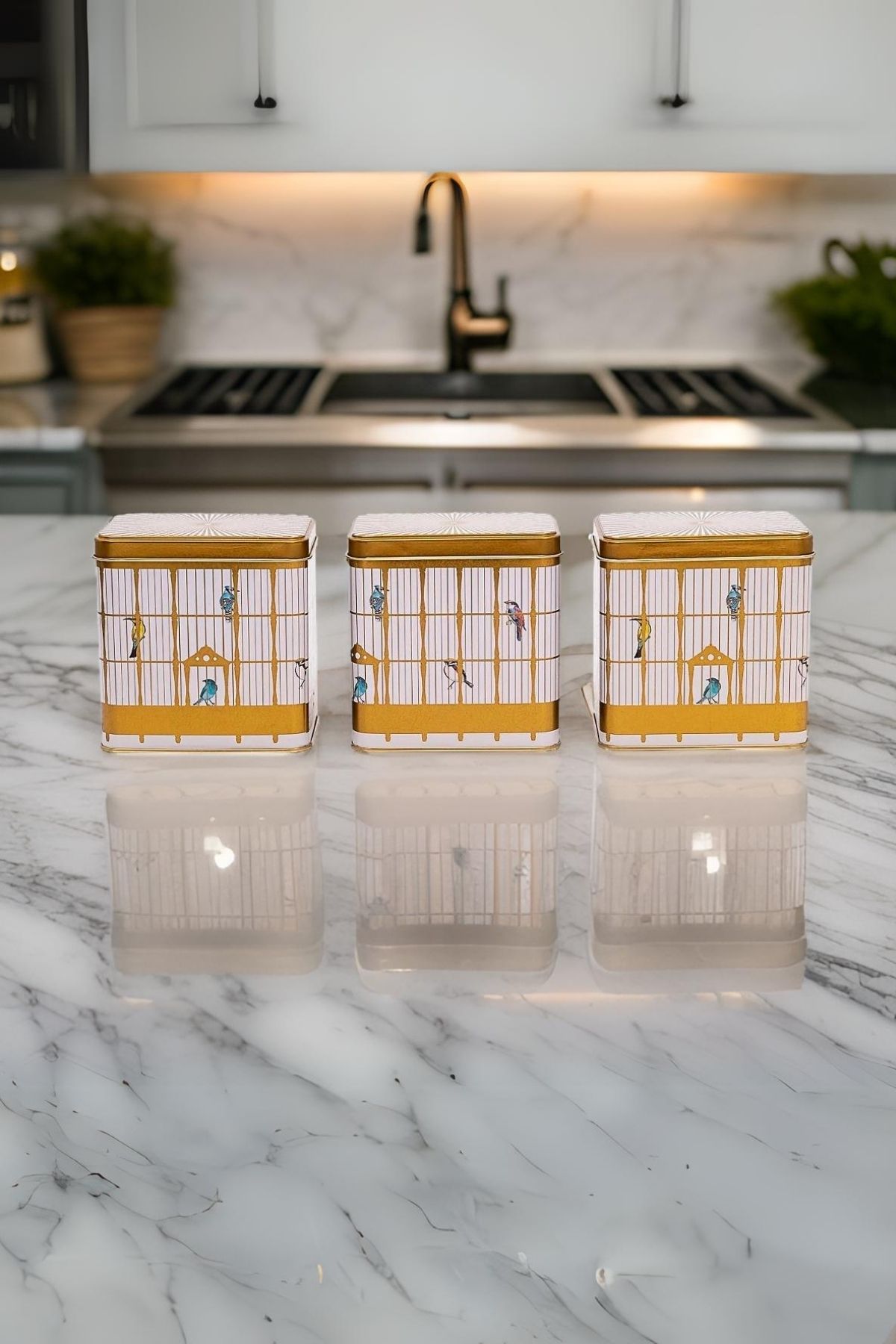 Evle Dikdörtgen Saklama Kabı 80x120 3 lü Set, Bird Cage