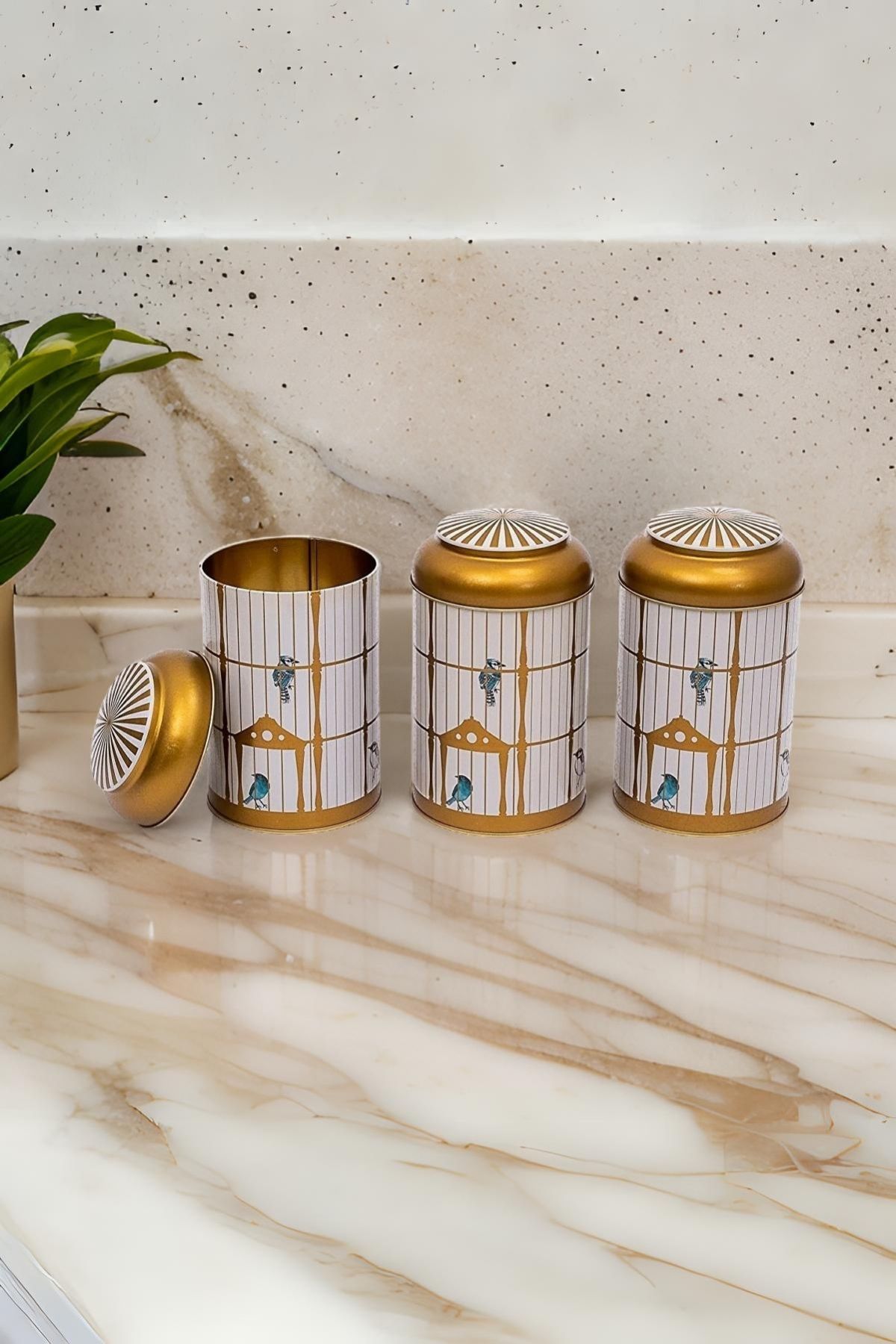 Evle Silindir Saklama Kabı Ø105 3 lü Set, Bird Cage