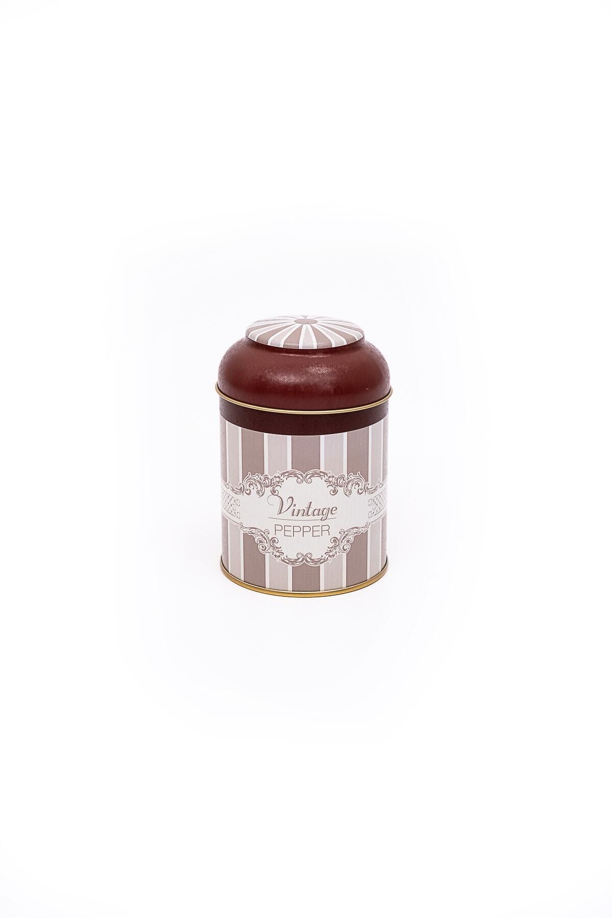 Evle Er080-1g Botanica Pink Desenli Baharatlık 0,6 Lt