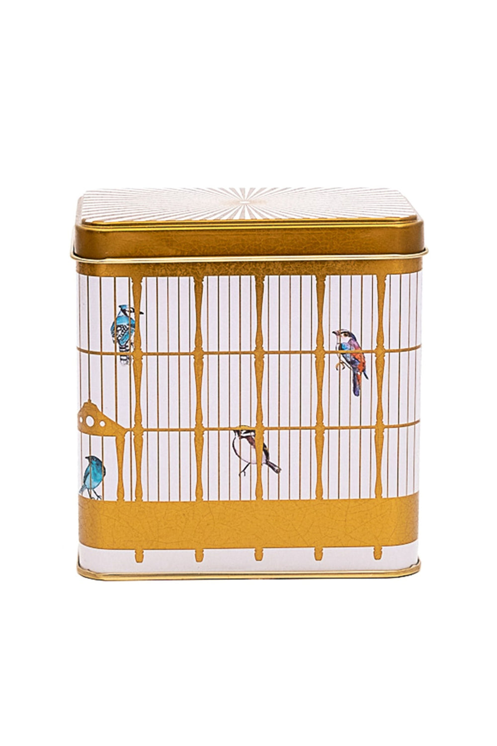 Bird Cage