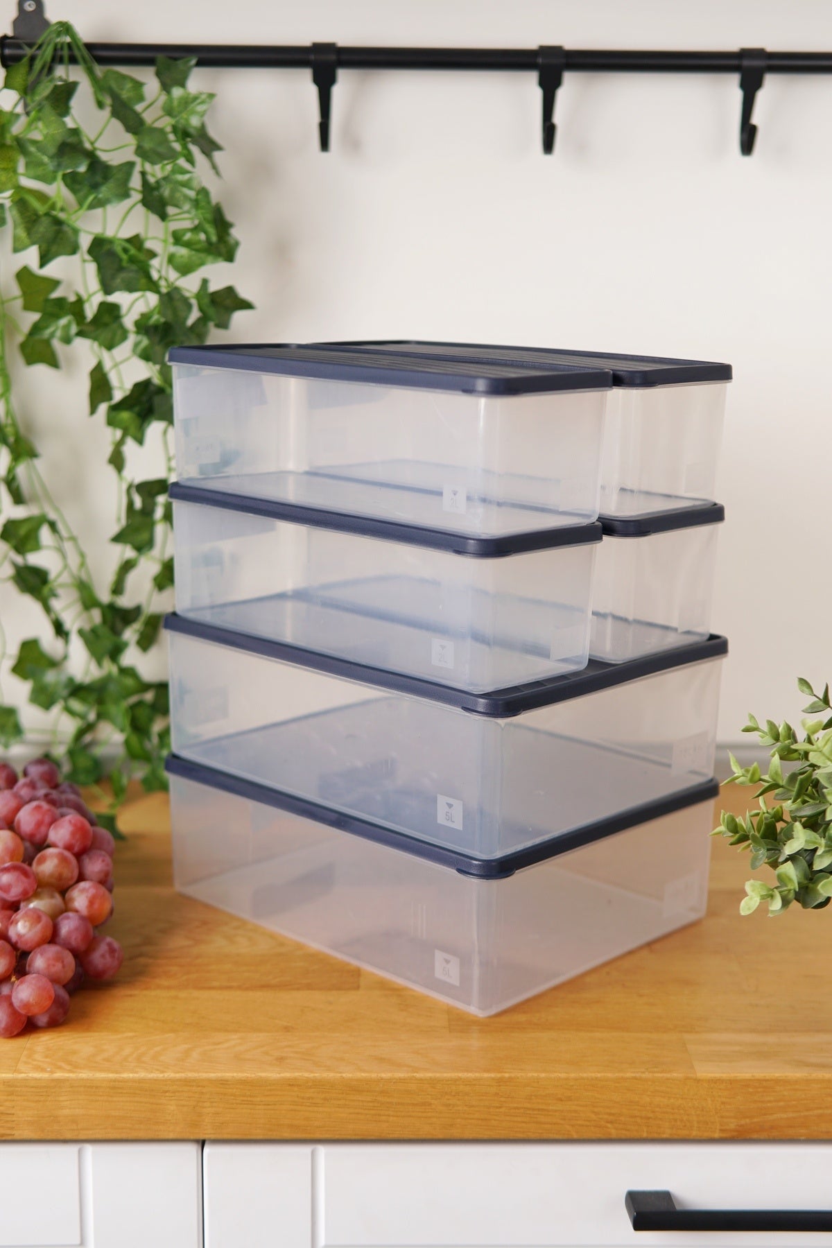 Derin Dondurucu Saklama Kabı 6'lı Set (2 x 5 Lt + 4 x 2 Lt), Mavi
