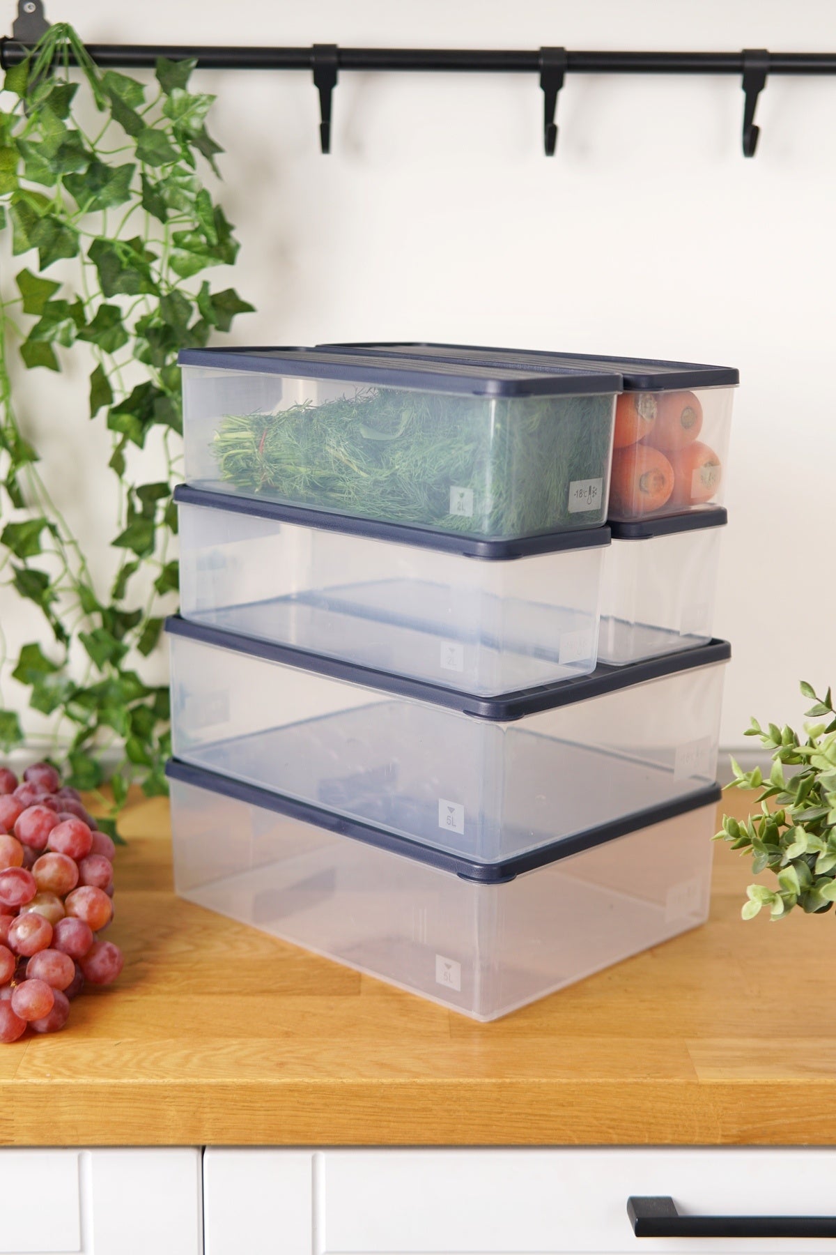 Derin Dondurucu Saklama Kabı 6'lı Set (2 x 5 Lt + 4 x 2 Lt), Mavi