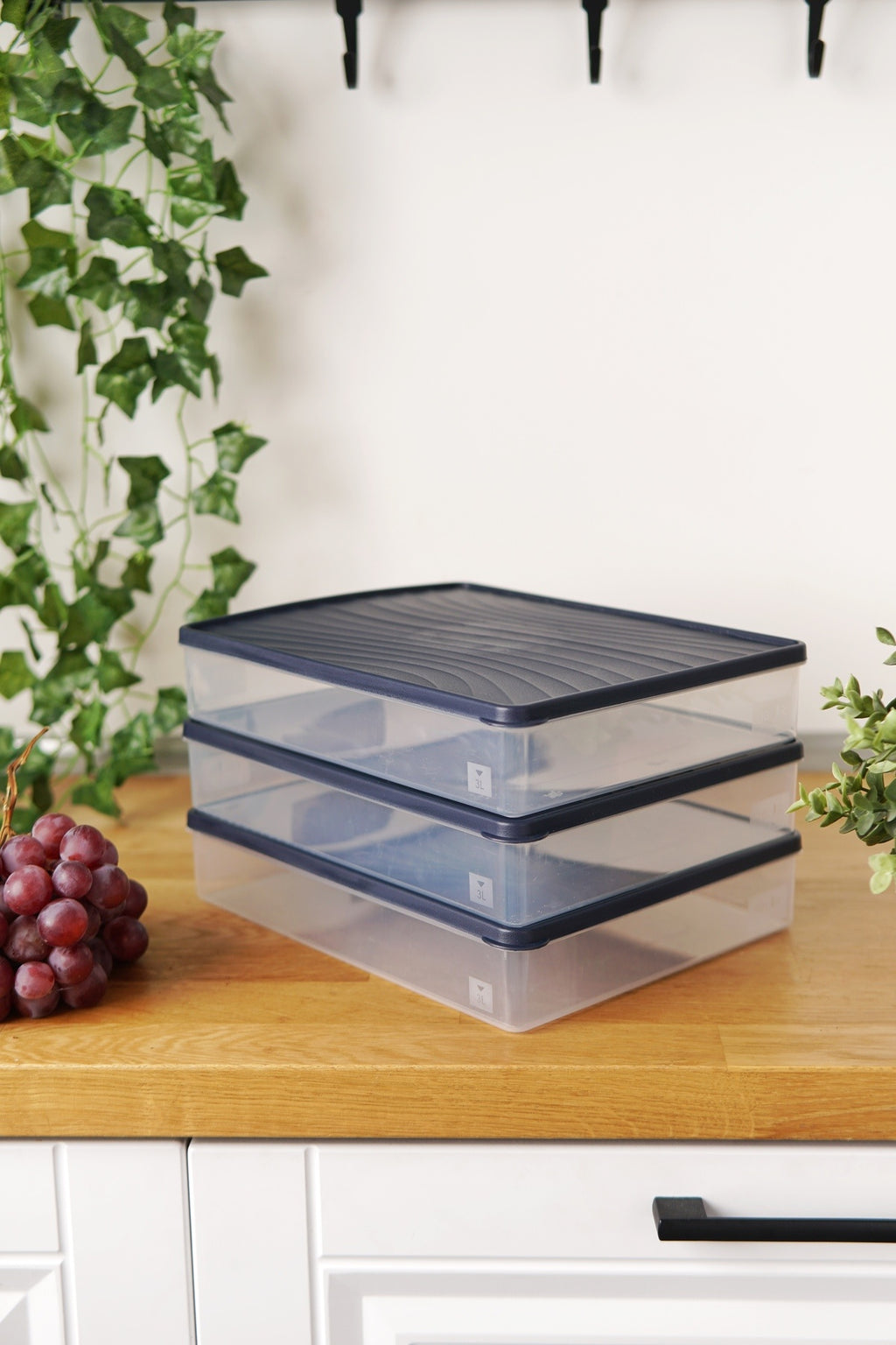 Derin Dondurucu Saklama Kabı 3'lü Set (3 x 3 Lt), Mavi
