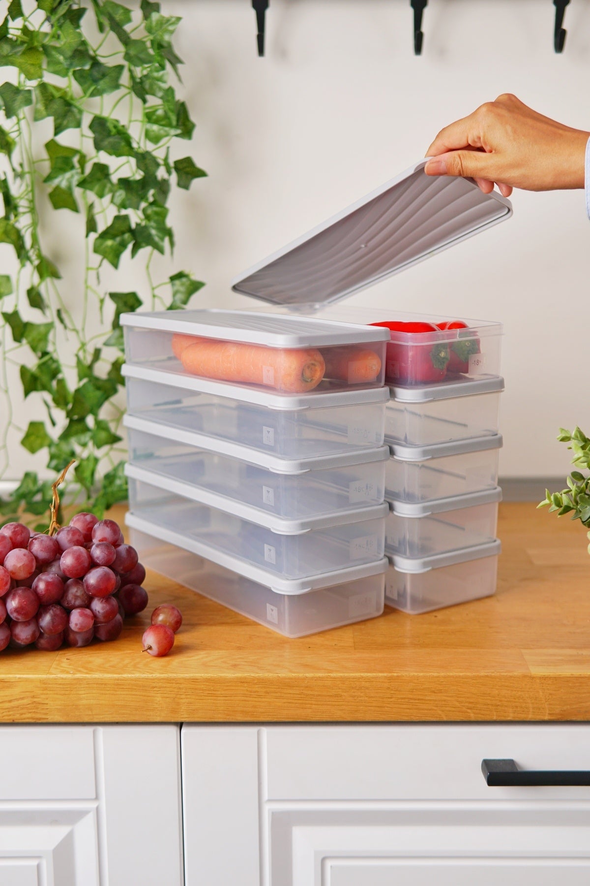 Derin Dondurucu Saklama Kabı 10'lu Set (10 x 1 Lt), Gri