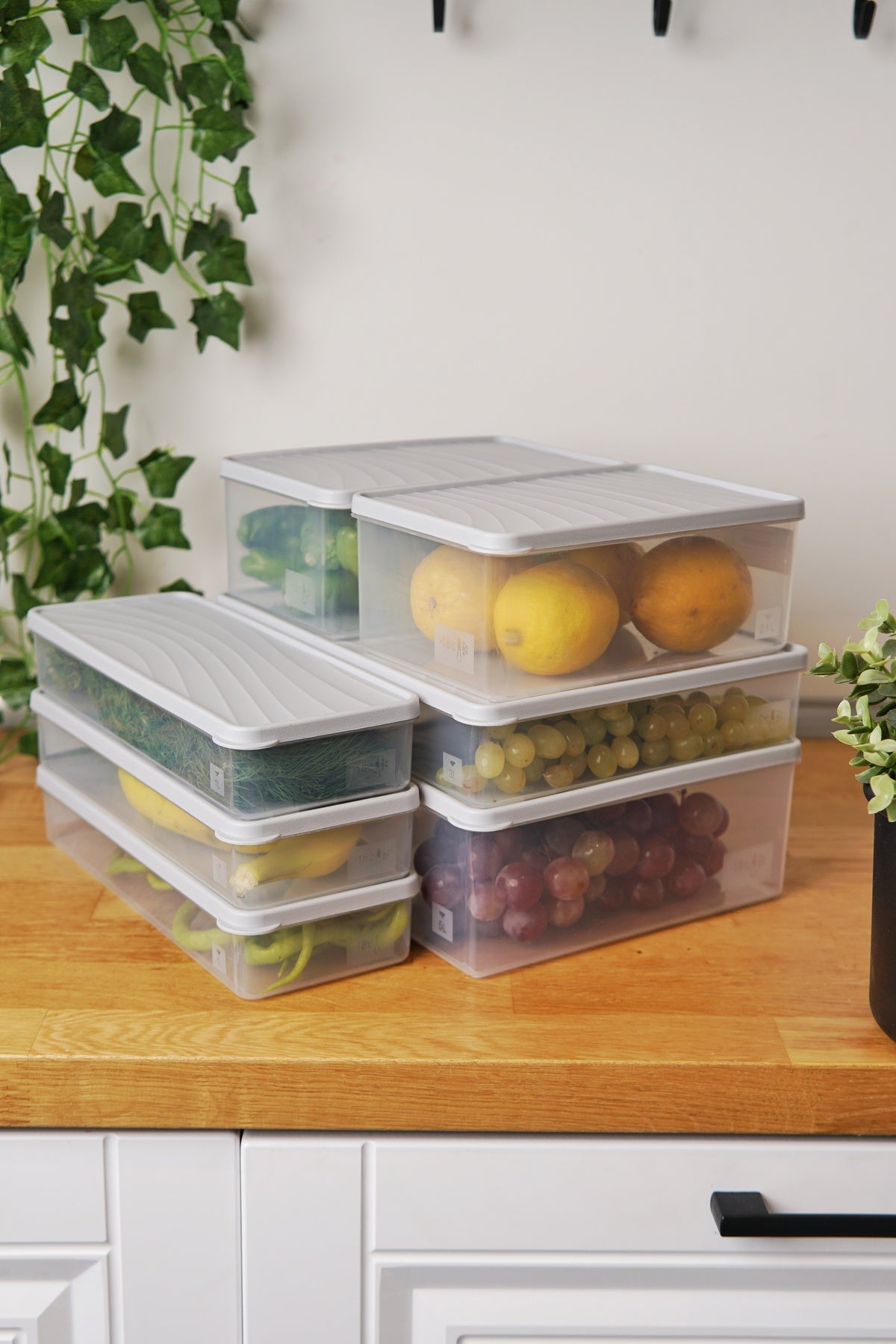 Derin Dondurucu Saklama Kabı 7'li Set (5 Lt + 3 Lt + 2 x 2.1 Lt + 3 x 1 Lt), Mavi
