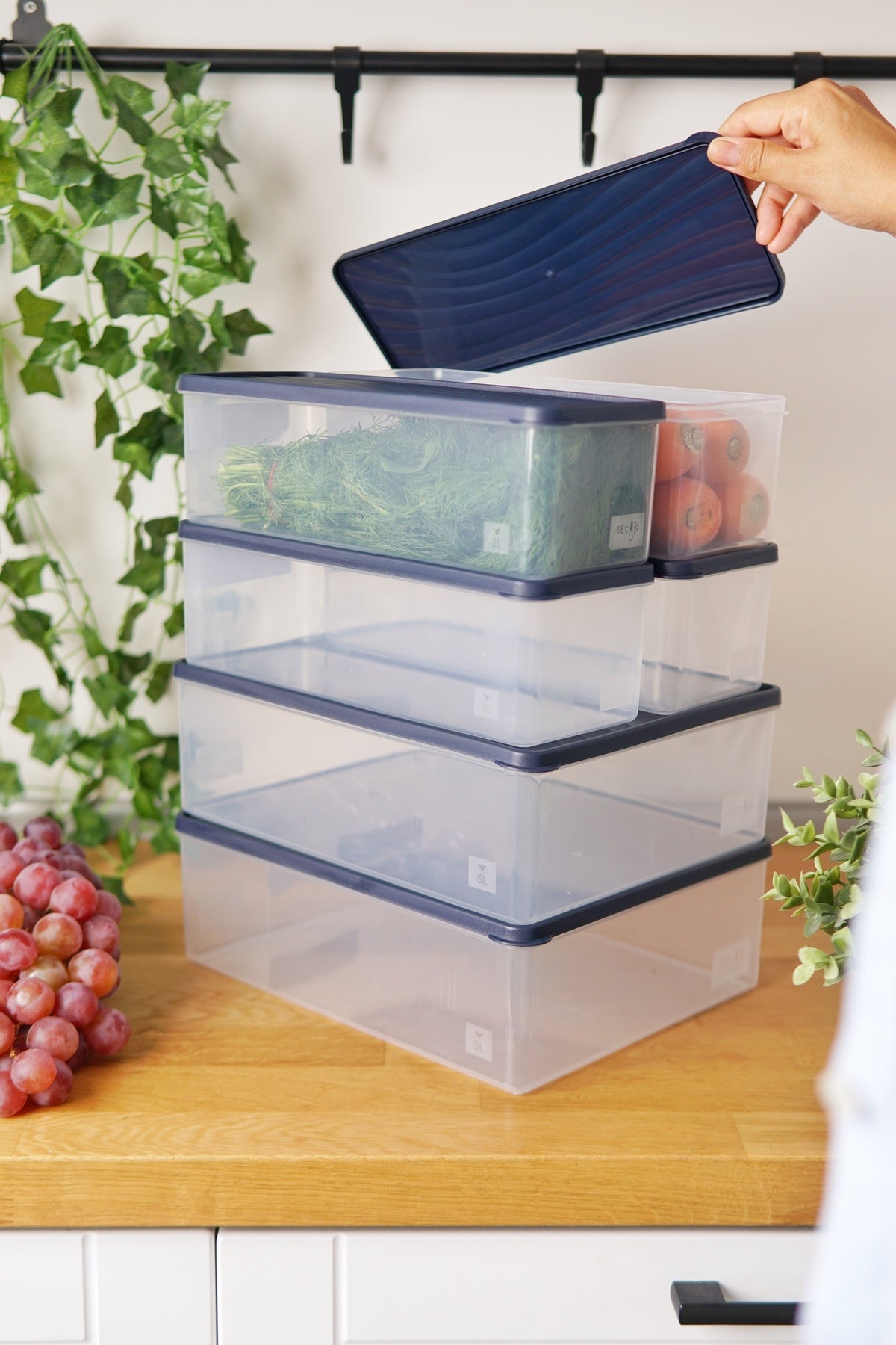 Derin Dondurucu Saklama Kabı 6'lı Set (2 x 5 Lt + 4 x 2 Lt), Mavi
