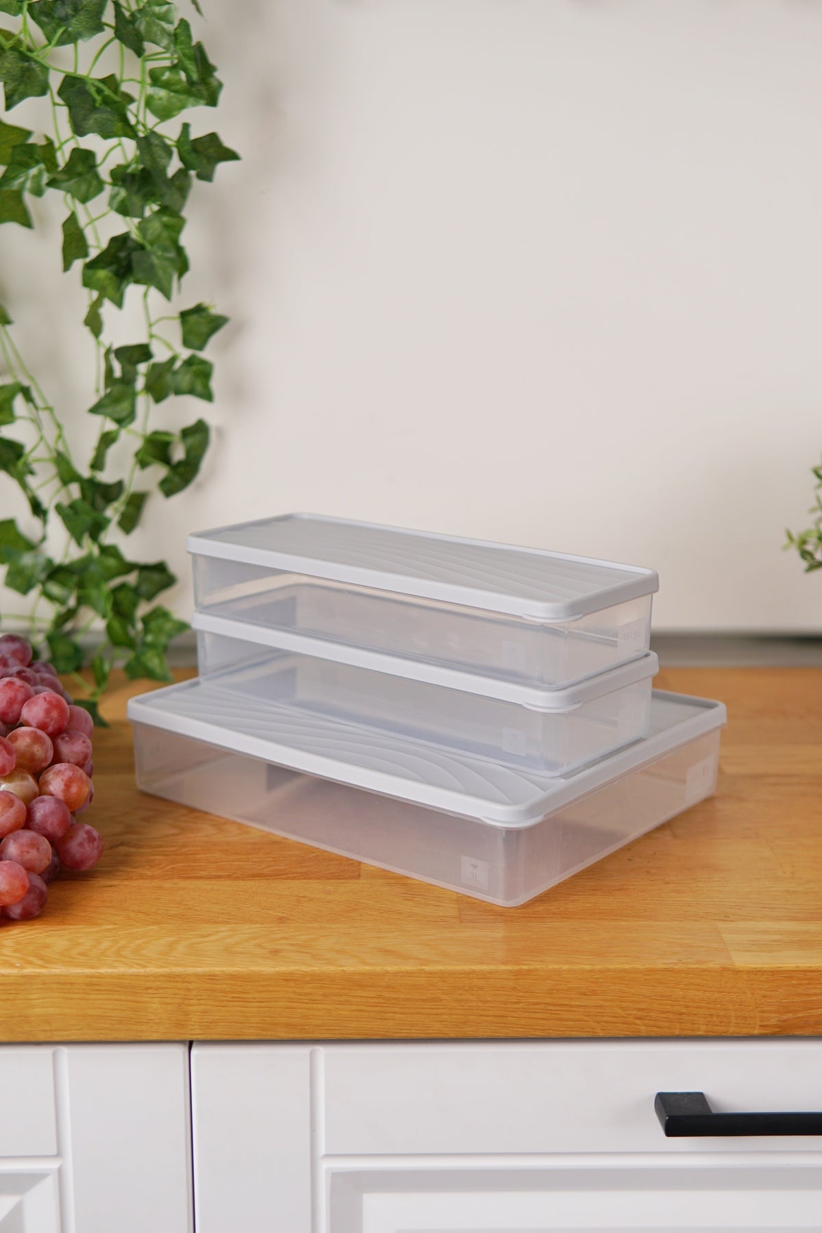 Evle Derin Dondurucu Saklama Kabı 3'lü Set (3 Lt + 2 x 2 Lt)