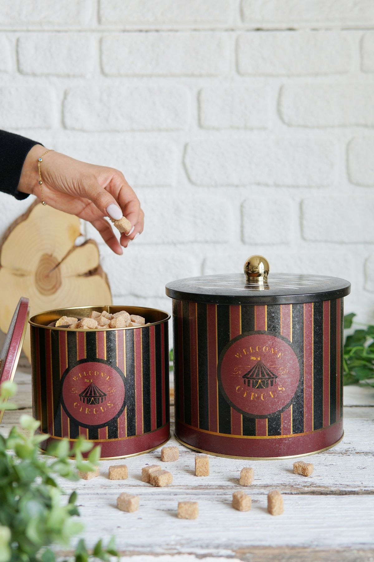 Circus Desenli Metal Saklama Kabı Seti - 2'li Set (1,7 lt - 3,5 lt)