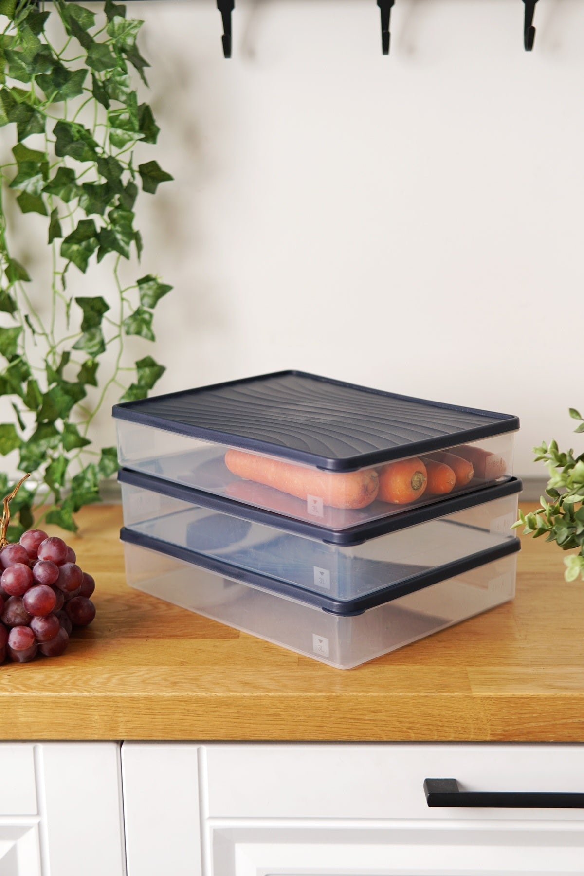 Derin Dondurucu Saklama Kabı 3'lü Set (3 x 3 Lt), Mavi