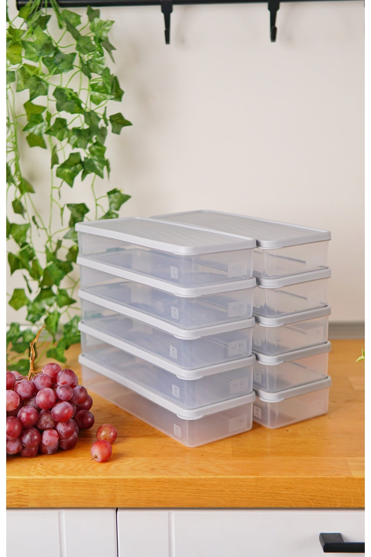 Derin Dondurucu Saklama Kabı 10'lu Set (10 x 1 Lt), Gri