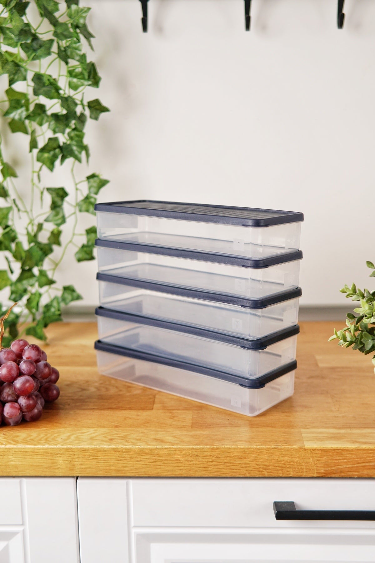Derin Dondurucu Saklama Kabı 5'li Set (5 x 1 Lt), Mavi
