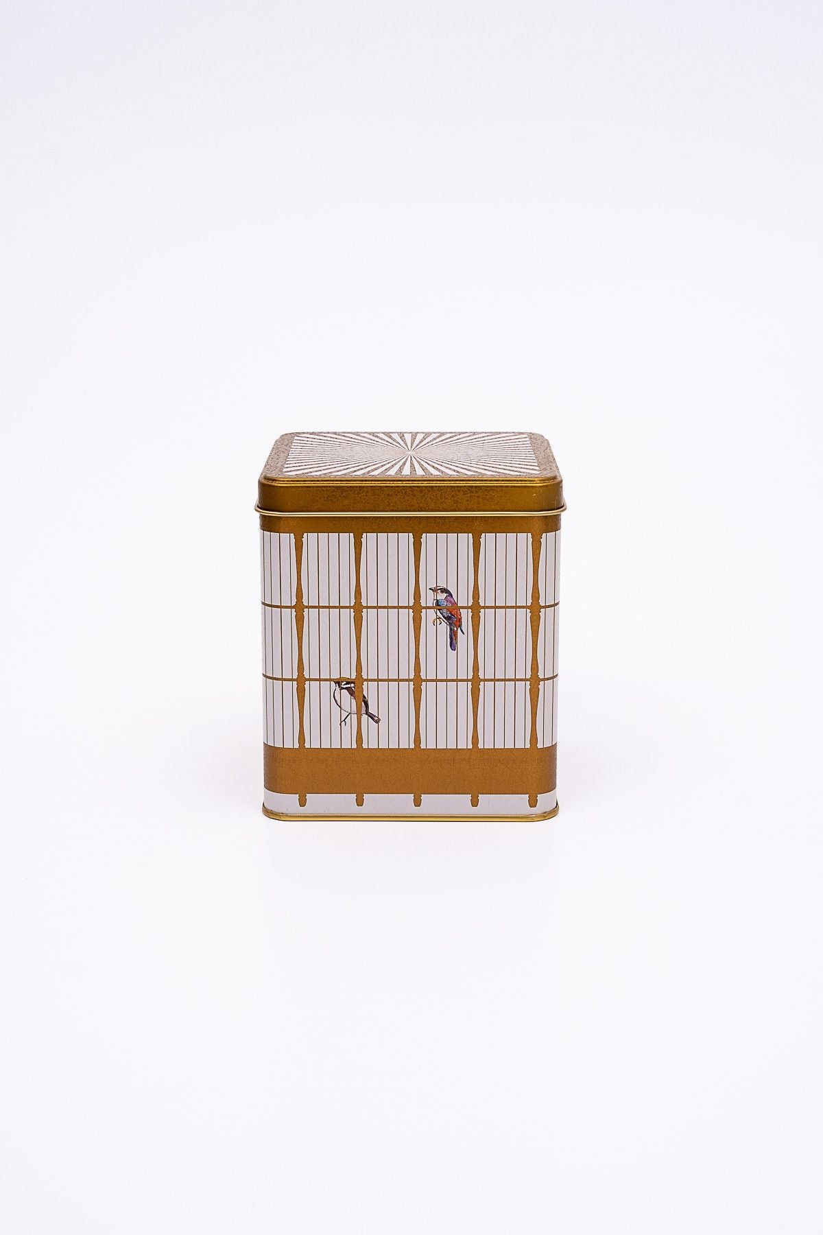 Er024-t7 Bird Cage Desenli Kare Metal Saklama Kabı 12x12 Cm