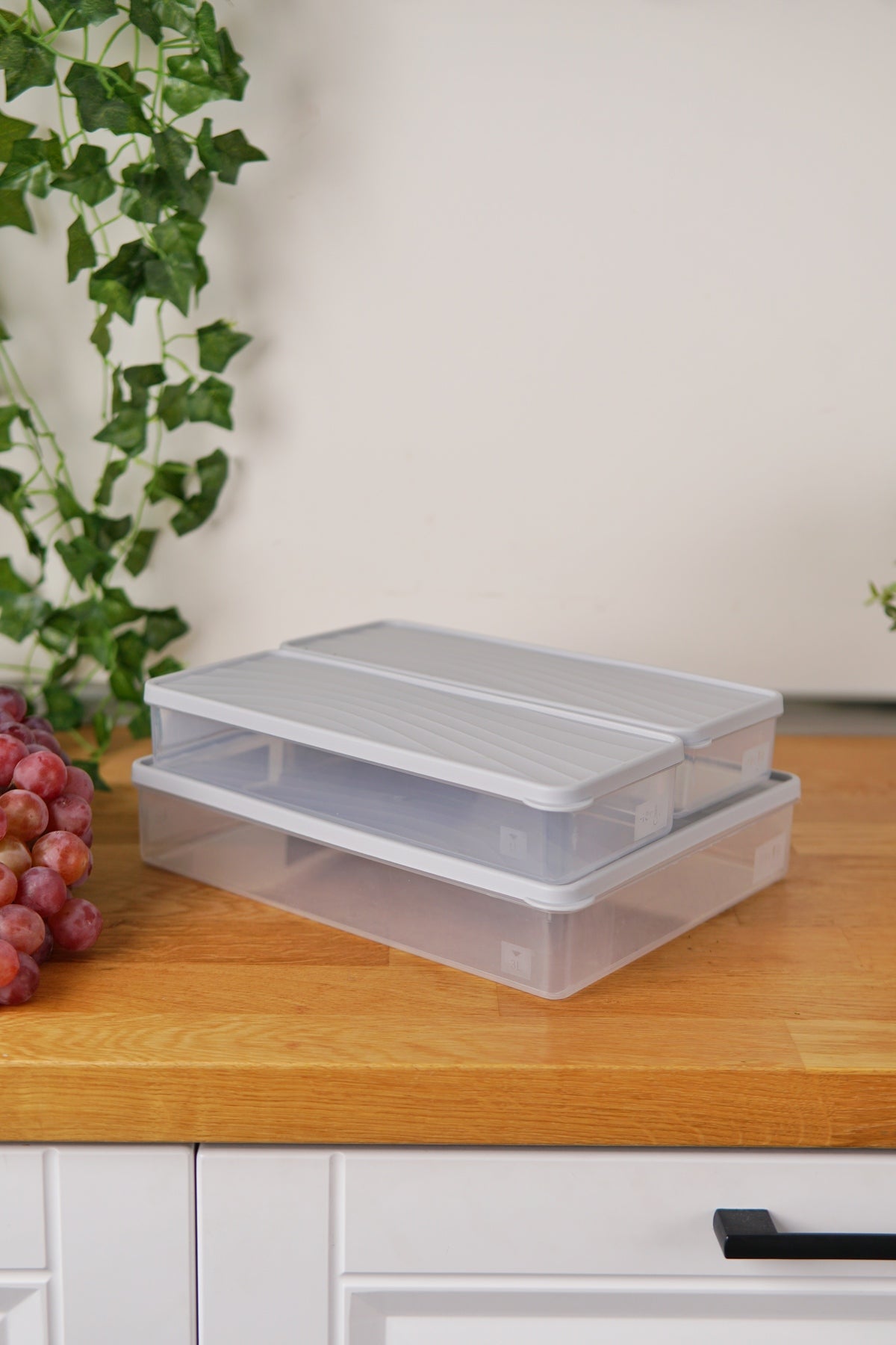 Evle Derin Dondurucu Saklama Kabı 3'lü Set (3 Lt + 2 x 2 Lt)