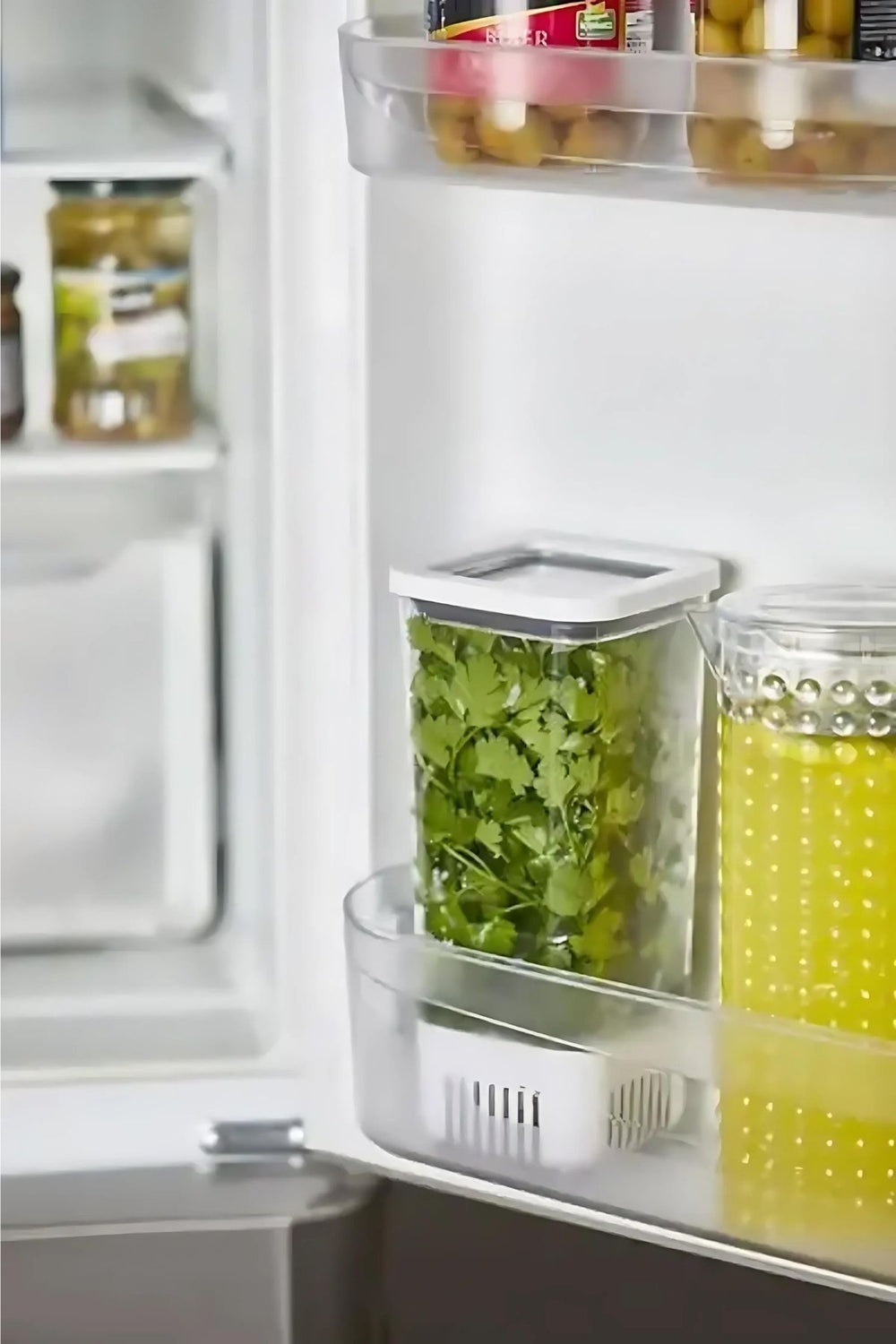 1_org_zoom_89bbac4b-1647-40a1-