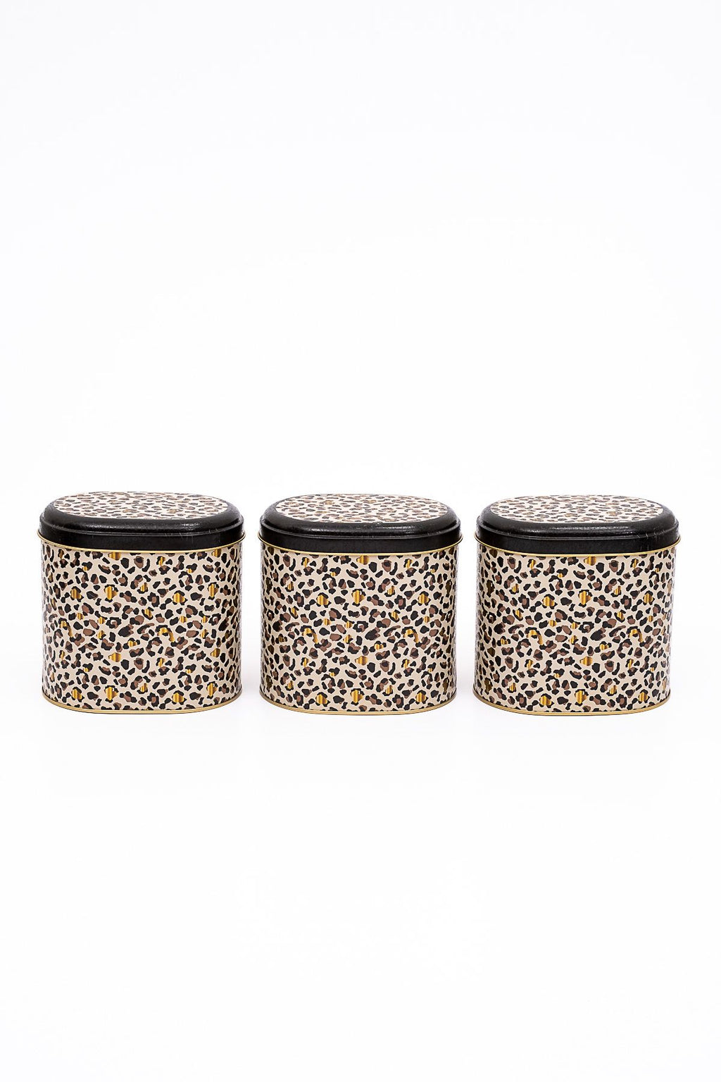 Erb07v4 Oval Metal Saklama Kabı 3 Lü Set, Leo