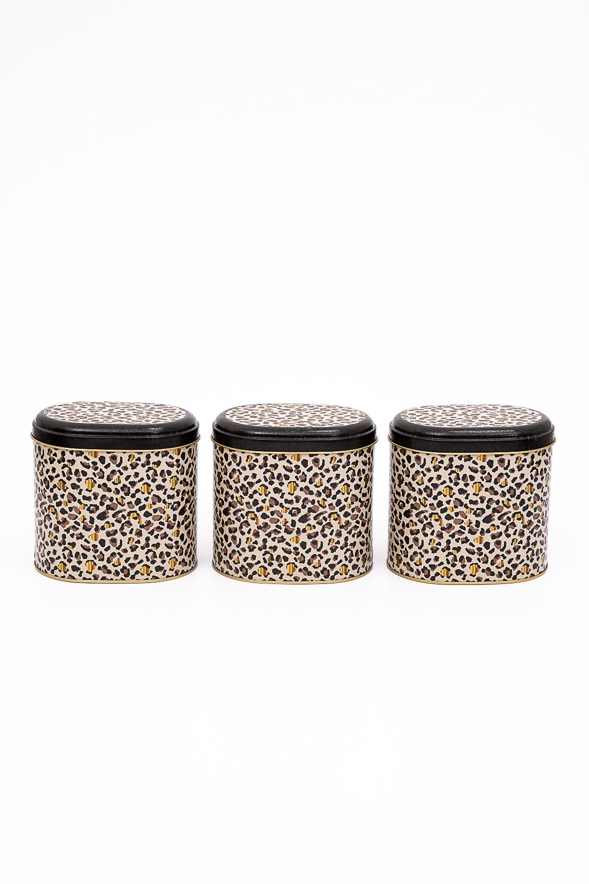 Erb07v4 Oval Metal Saklama Kabı 3 Lü Set, Leo