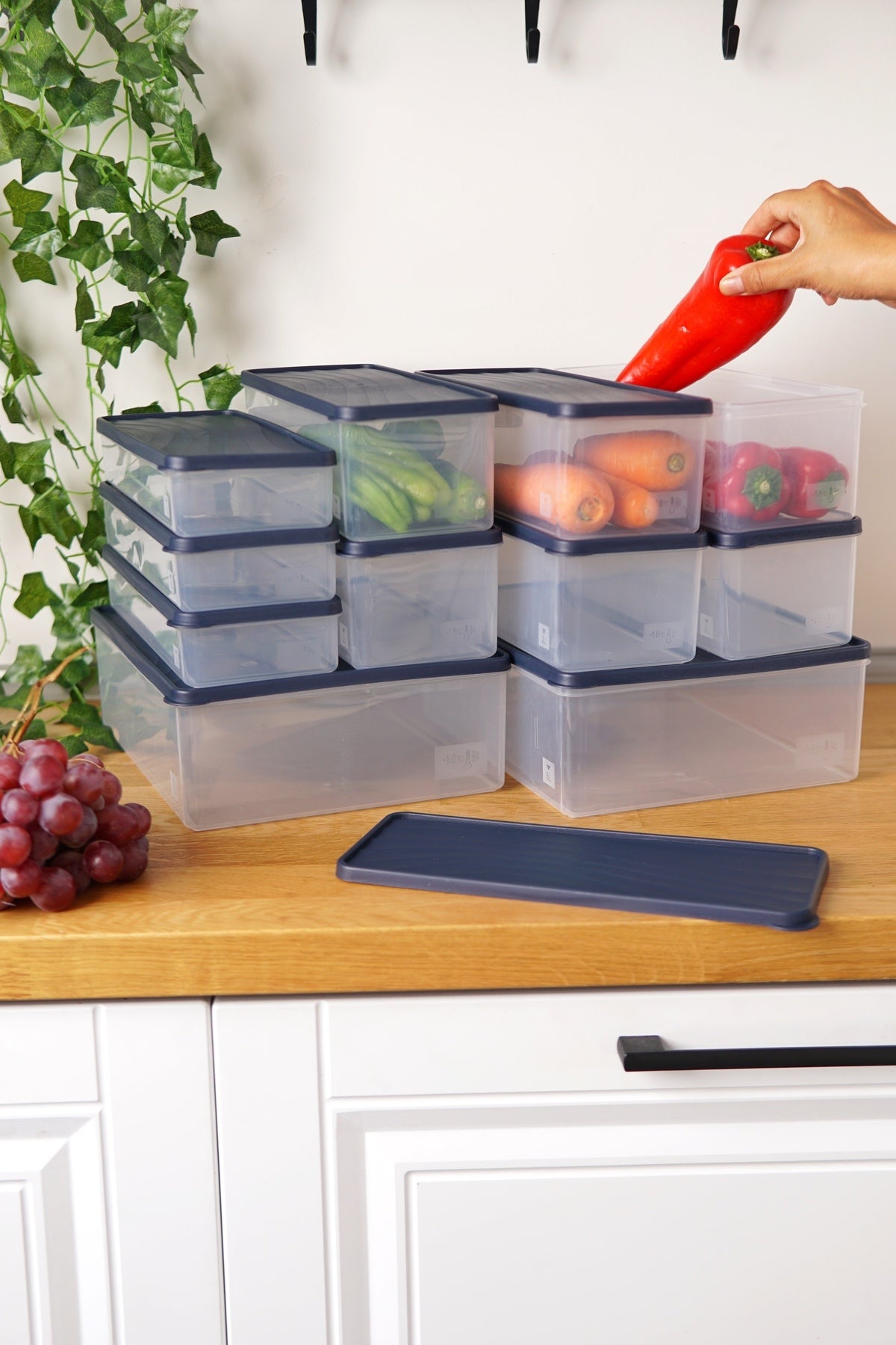 Derin Dondurucu Saklama Kabı 11'li Set (2 x 5 Lt + 6 x 2 Lt + 3 x 1 Lt), Mavi