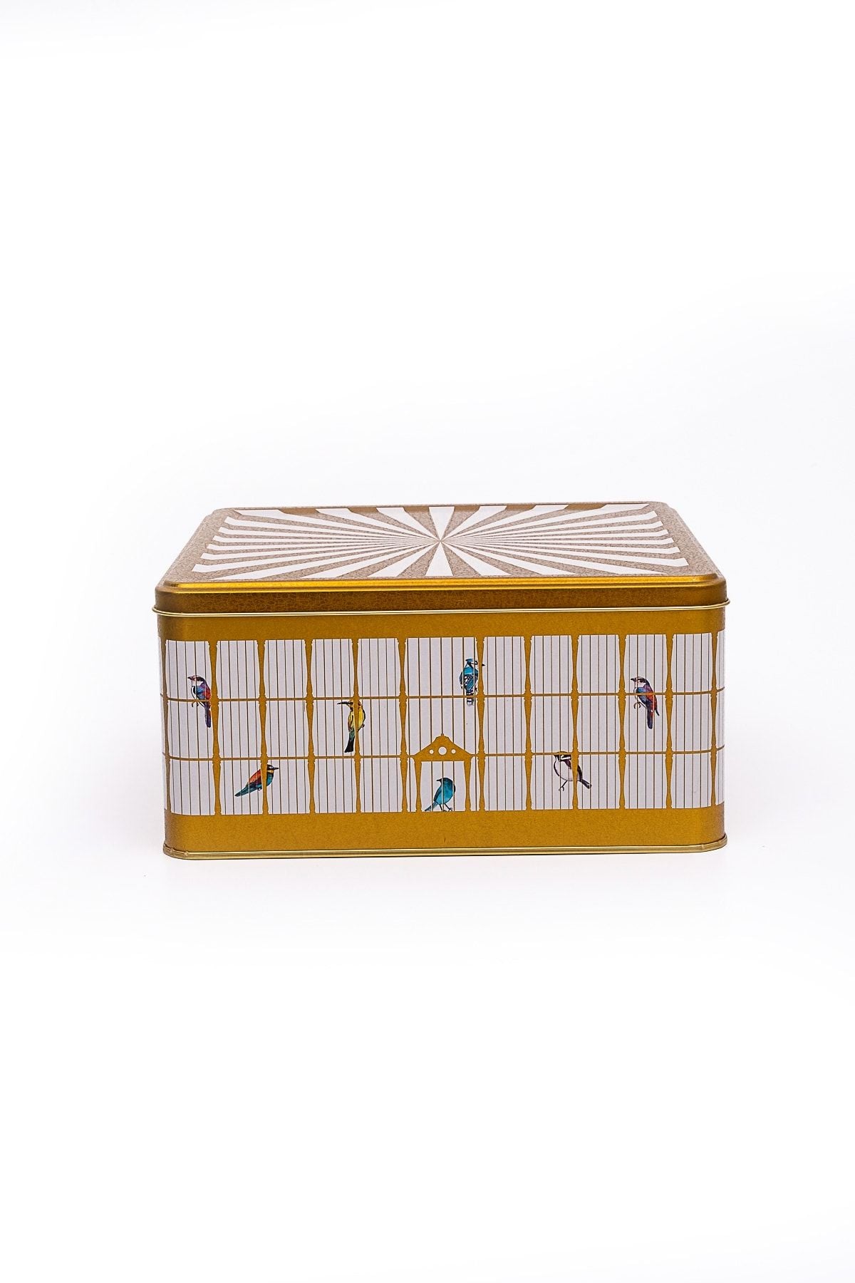 Er029-t7 Bird Cage Desenli Kare Metal Saklama Kabı 24x24 Cm