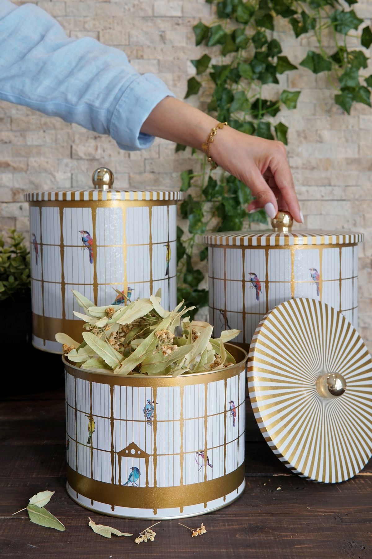 Bird Cage Desenli Metal Saklama Kabı Seti - 3'lü Set (2,9 Lt - 3,5 Lt - 4,1 Lt) ERB31T7