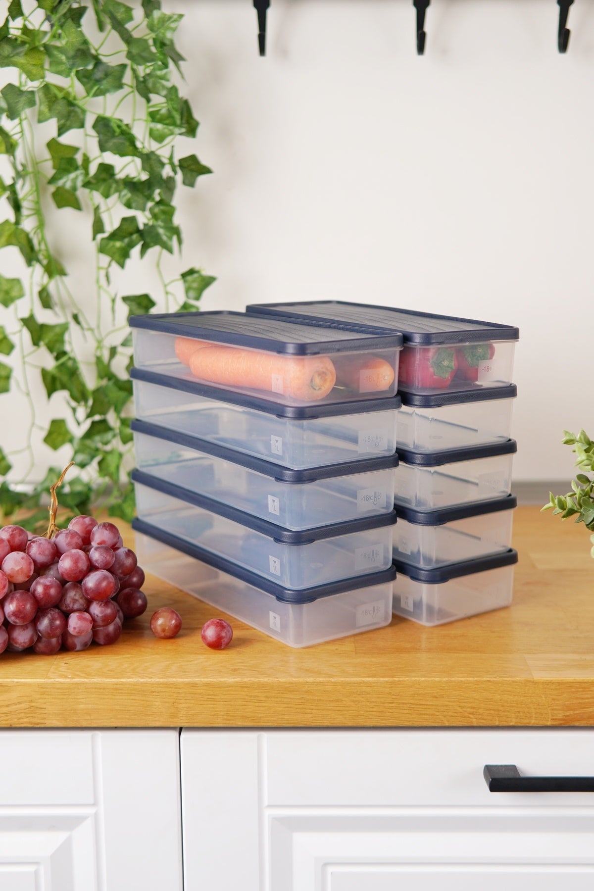 Derin Dondurucu Saklama Kabı 10'lu Set (10 x 1 Lt), Mavi