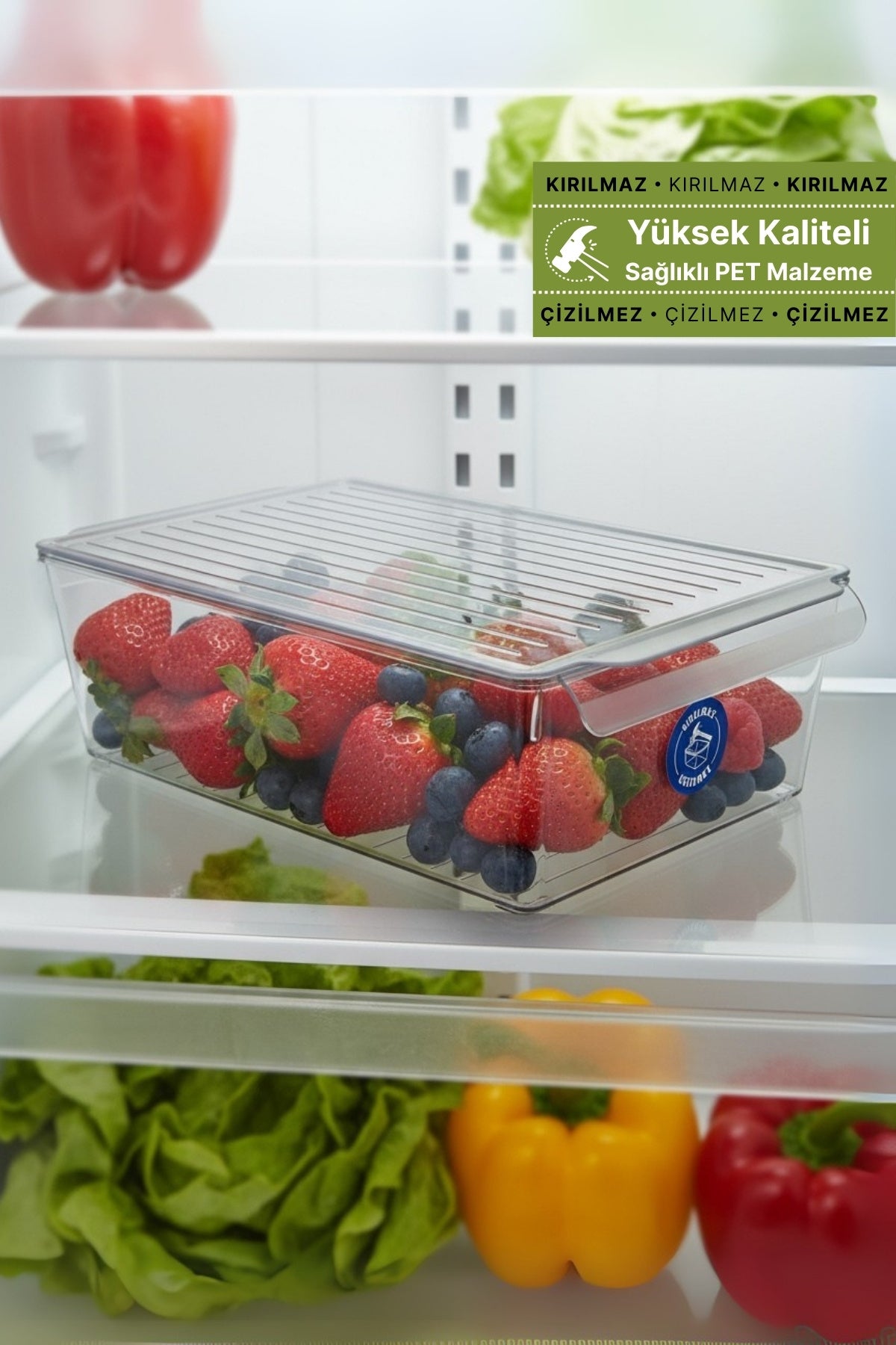DecoBella PET Buzdolabı Düz. Kapaklı (L), Renkli