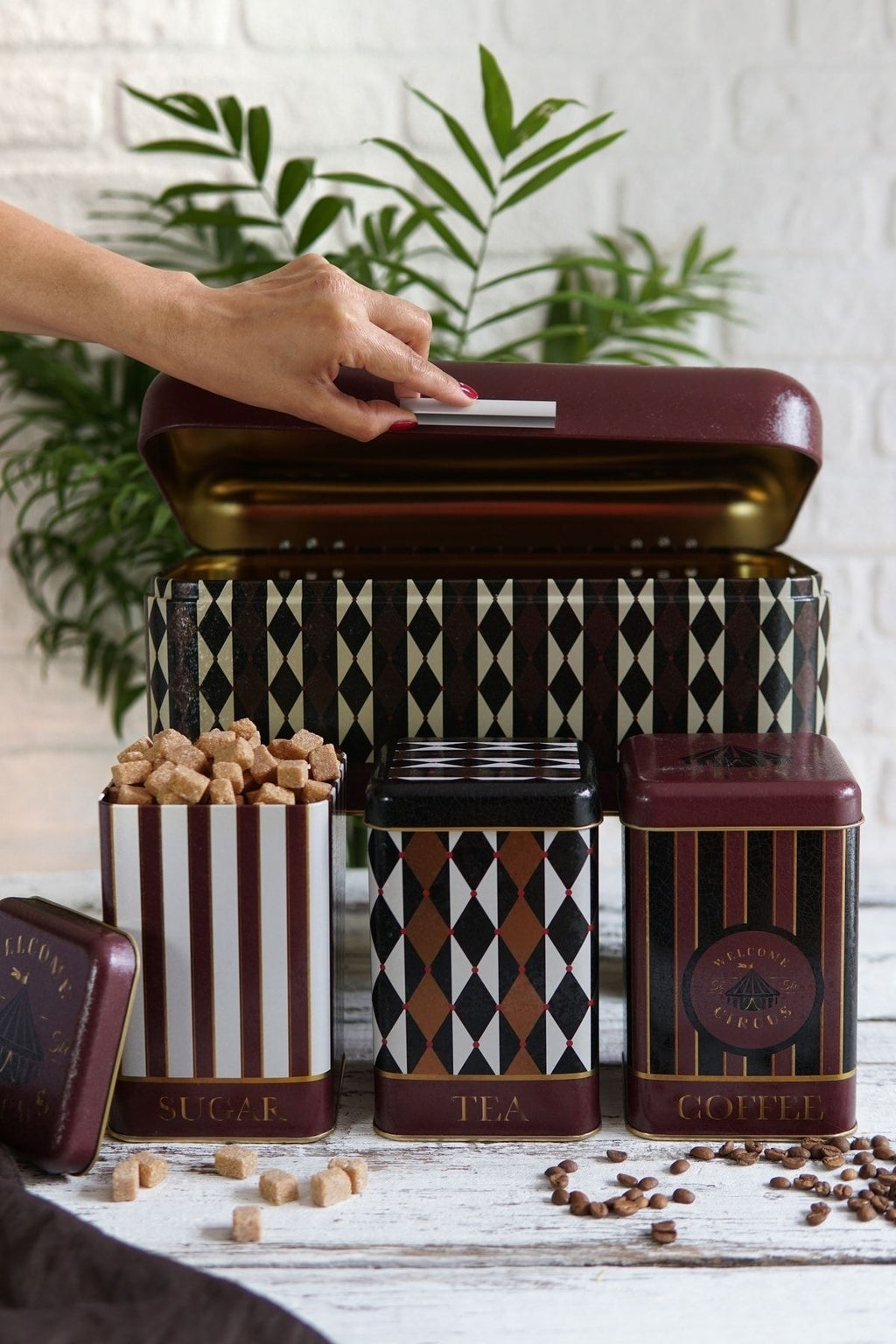 Erb08t8 Menteşeli Ekmek Kutusu 4 Lü Set, Circus