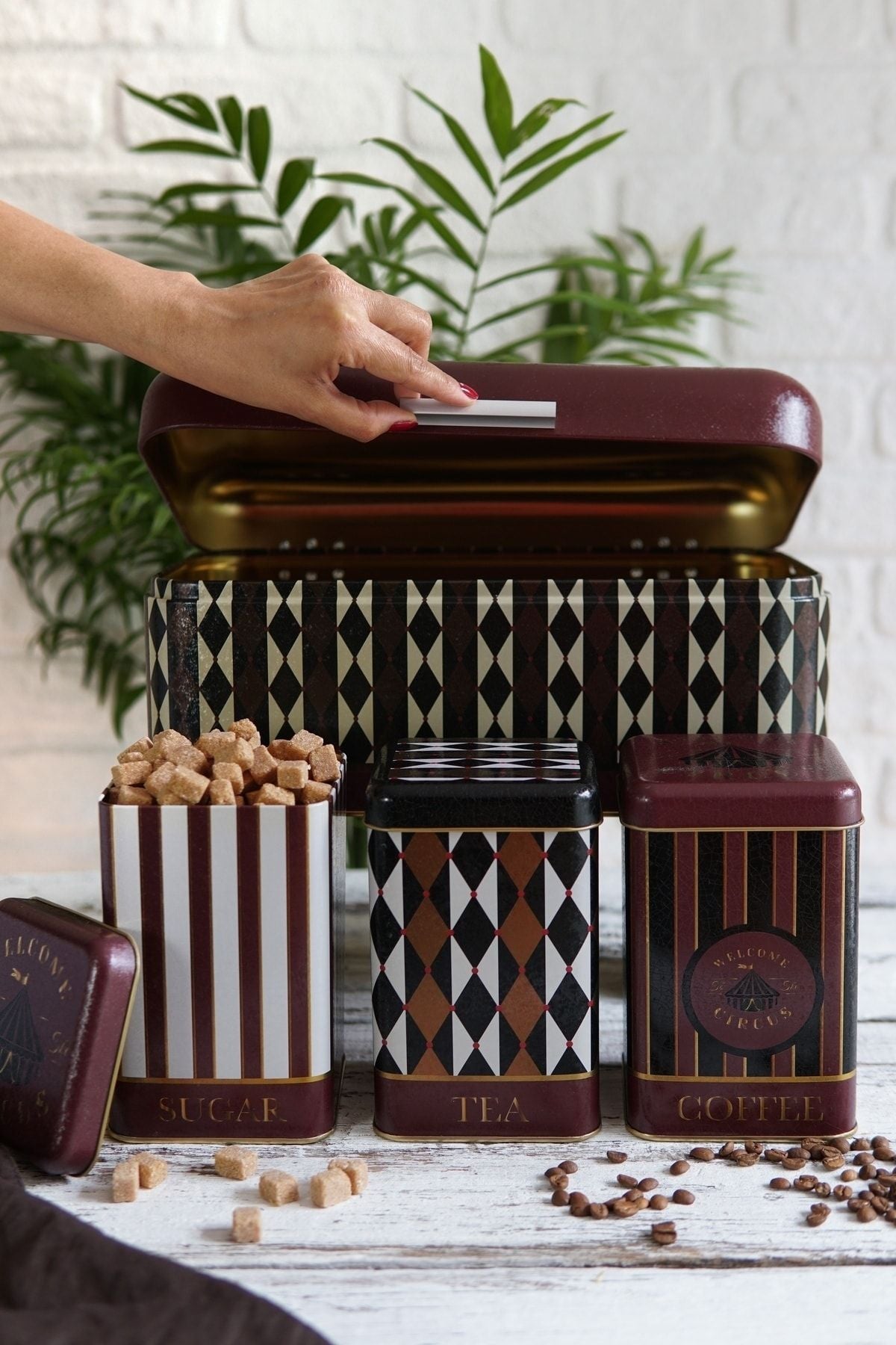 Erb08t8 Menteşeli Ekmek Kutusu 4 Lü Set, Circus