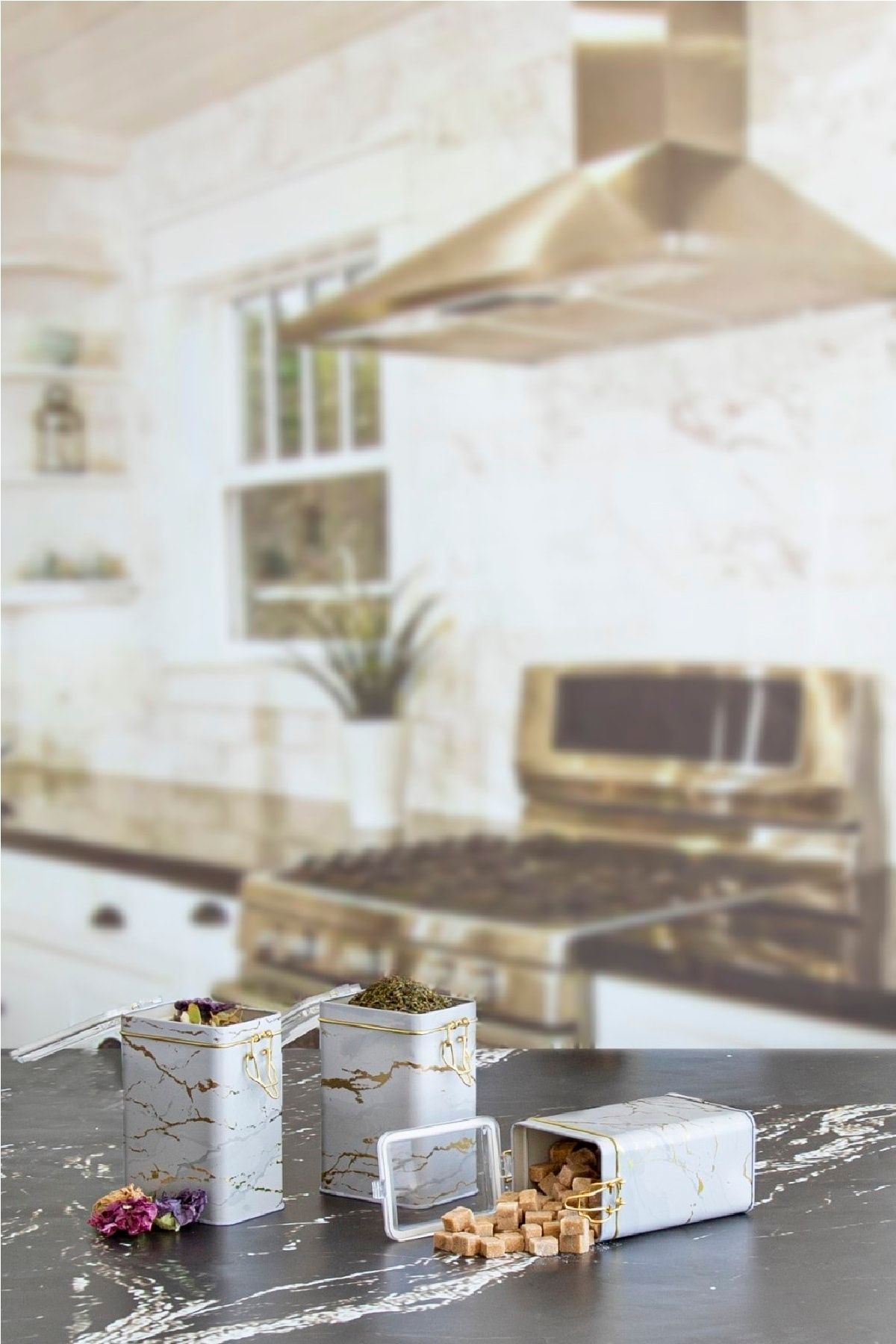 Efb2151 Dikdörtgen Kilitli Saklama Kabı 75x100x150 3 Lü Set, Marble White