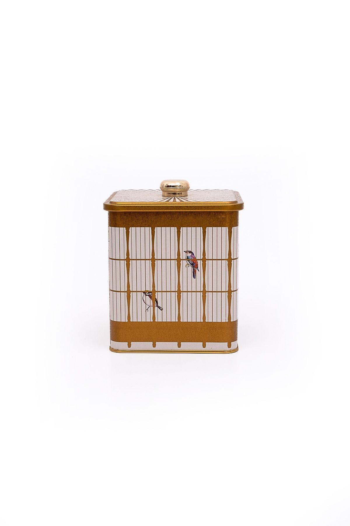 Er023-t7 Bird Cage Desenli Kare Metal Saklama Kabı 12x12 Cm