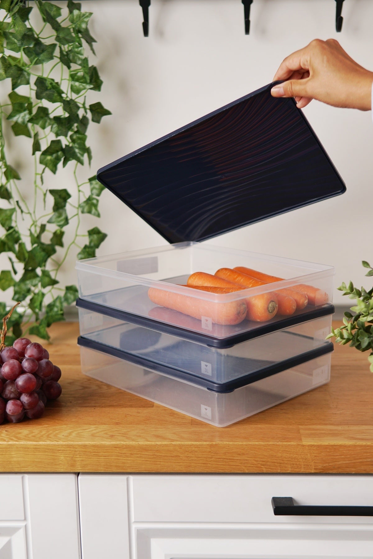 Derin Dondurucu Saklama Kabı 3'lü Set (3 x 3 Lt), Mavi