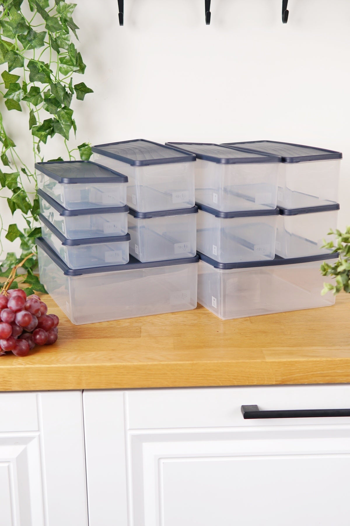 Derin Dondurucu Saklama Kabı 11'li Set (2 x 5 Lt + 6 x 2 Lt + 3 x 1 Lt), Mavi