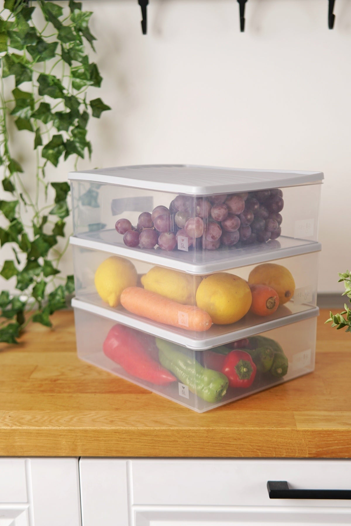 Derin Dondurucu Saklama Kabı 3'lü Set (3 x 5 Lt), Mavi