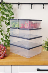 Derin Dondurucu Saklama Kabı 6'lı Set (2 x 5 Lt + 4 x 2.1 Lt), Mavi