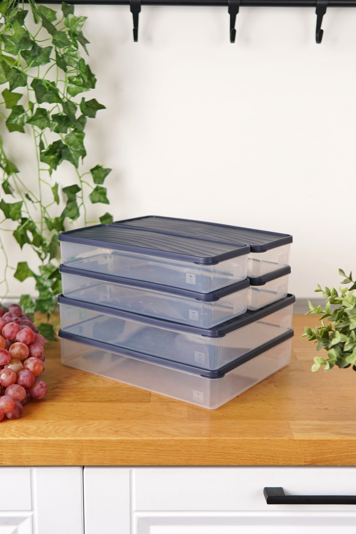 Derin Dondurucu Saklama Kabı 6'lı Set (2 x 3 Lt + 4 x 1 Lt), Mavi