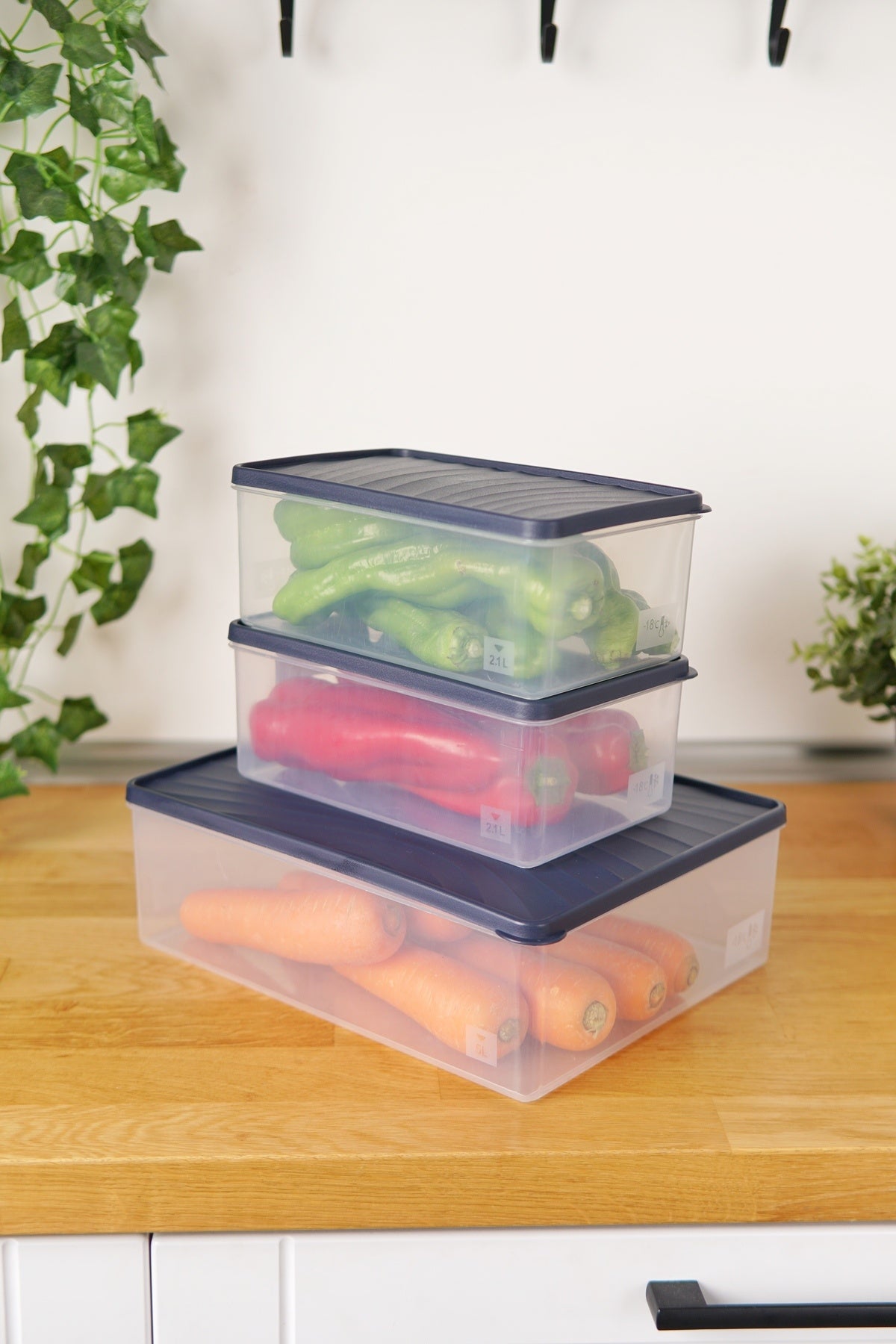 Derin Dondurucu Saklama Kabı 3'lü Set (5 Lt + 2 x 2.1 Lt), Mavi
