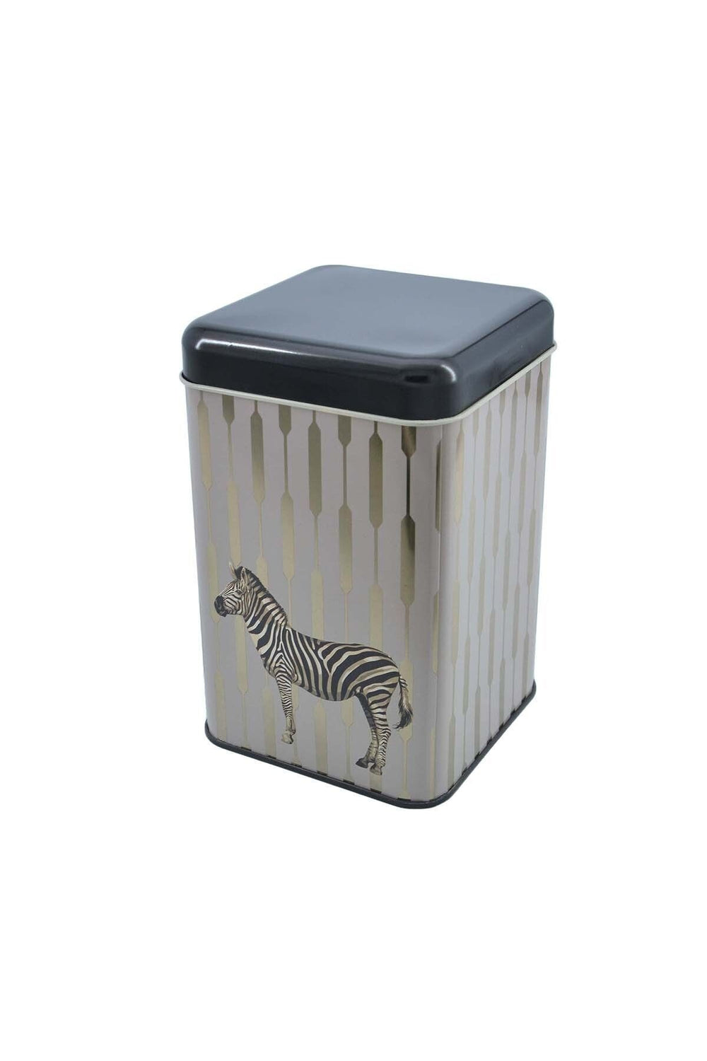 Safari Zebra