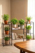 Evle 8 Raflı Metal Saksılık Çok Katlı Çiçek Standı Balkon Salon Bitki Rafı Siyah 30x125x83 cm