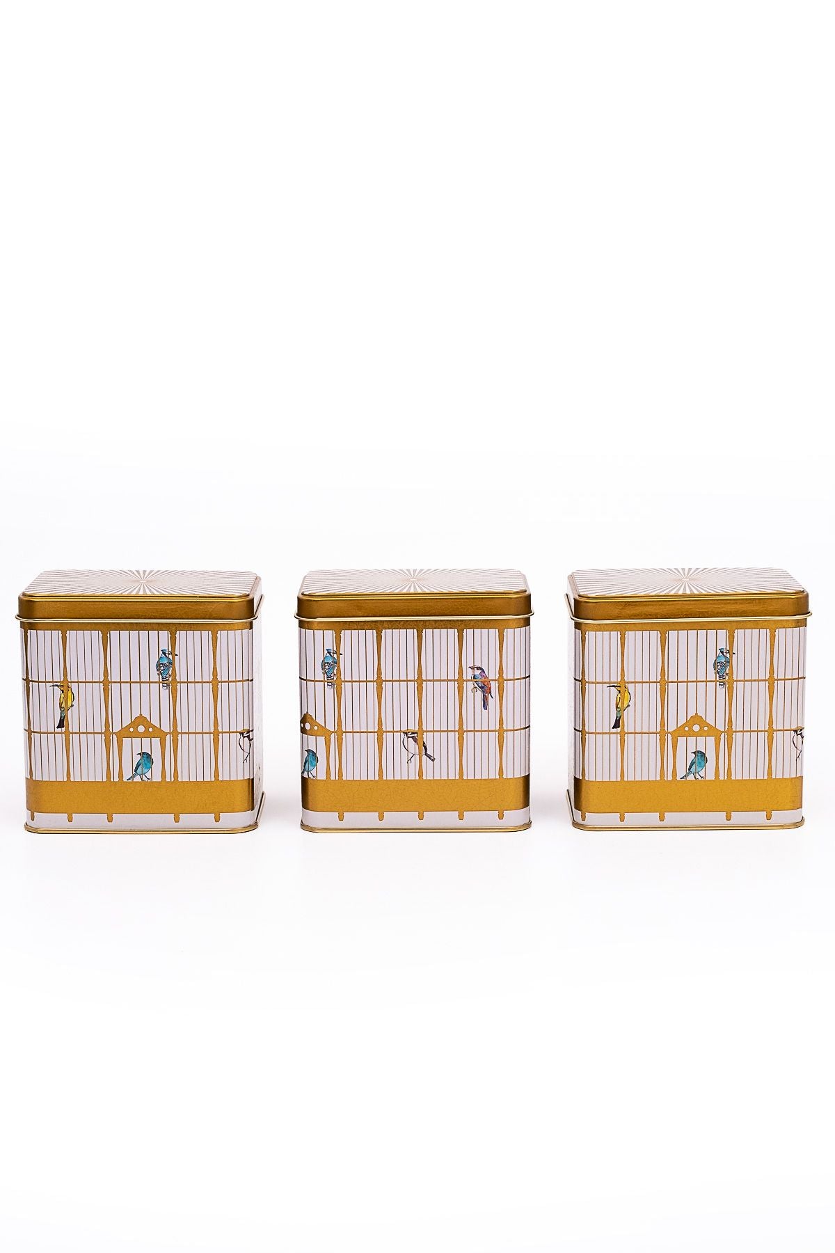 Evle Dikdörtgen Saklama Kabı 80x120 3 lü Set, Bird Cage
