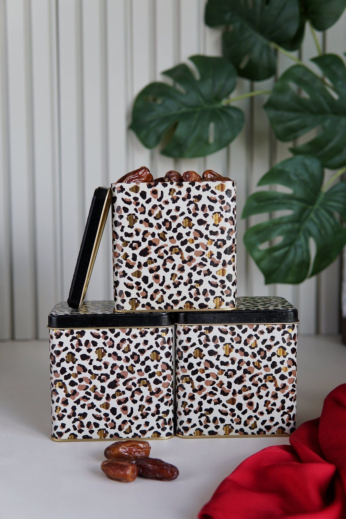 Evle Dikdörtgen Saklama Kabı 80x120 3 lü Set, Leo