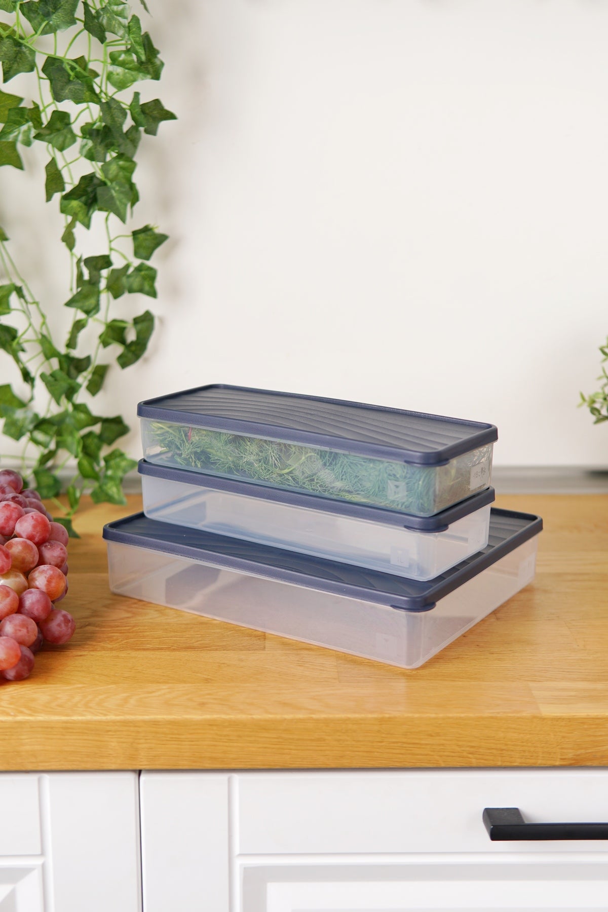 Evle Derin Dondurucu Saklama Kabı 3'lü Set (3 Lt + 2 x 2 Lt), Mavi
