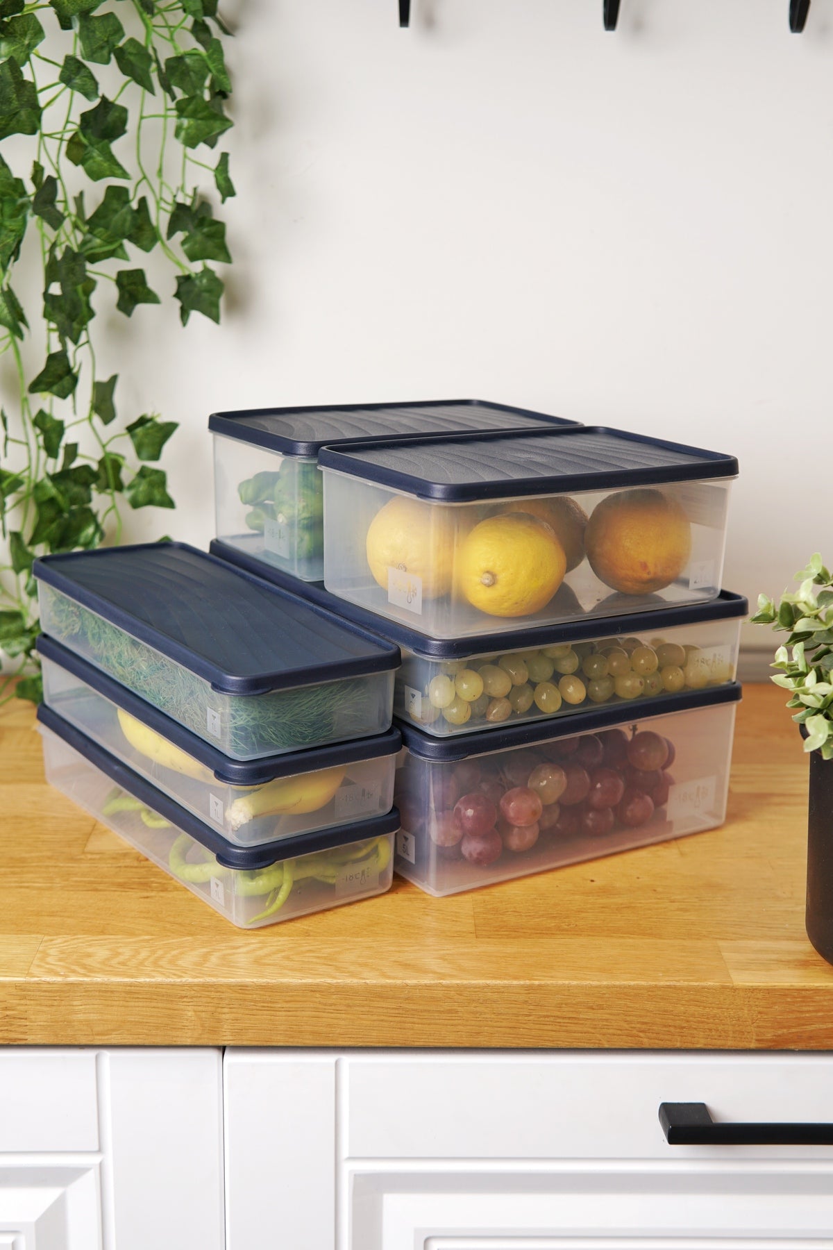 Derin Dondurucu Saklama Kabı 7'li Set (5 Lt + 3 Lt + 2 x 2.1 Lt + 3 x 1 Lt), Mavi
