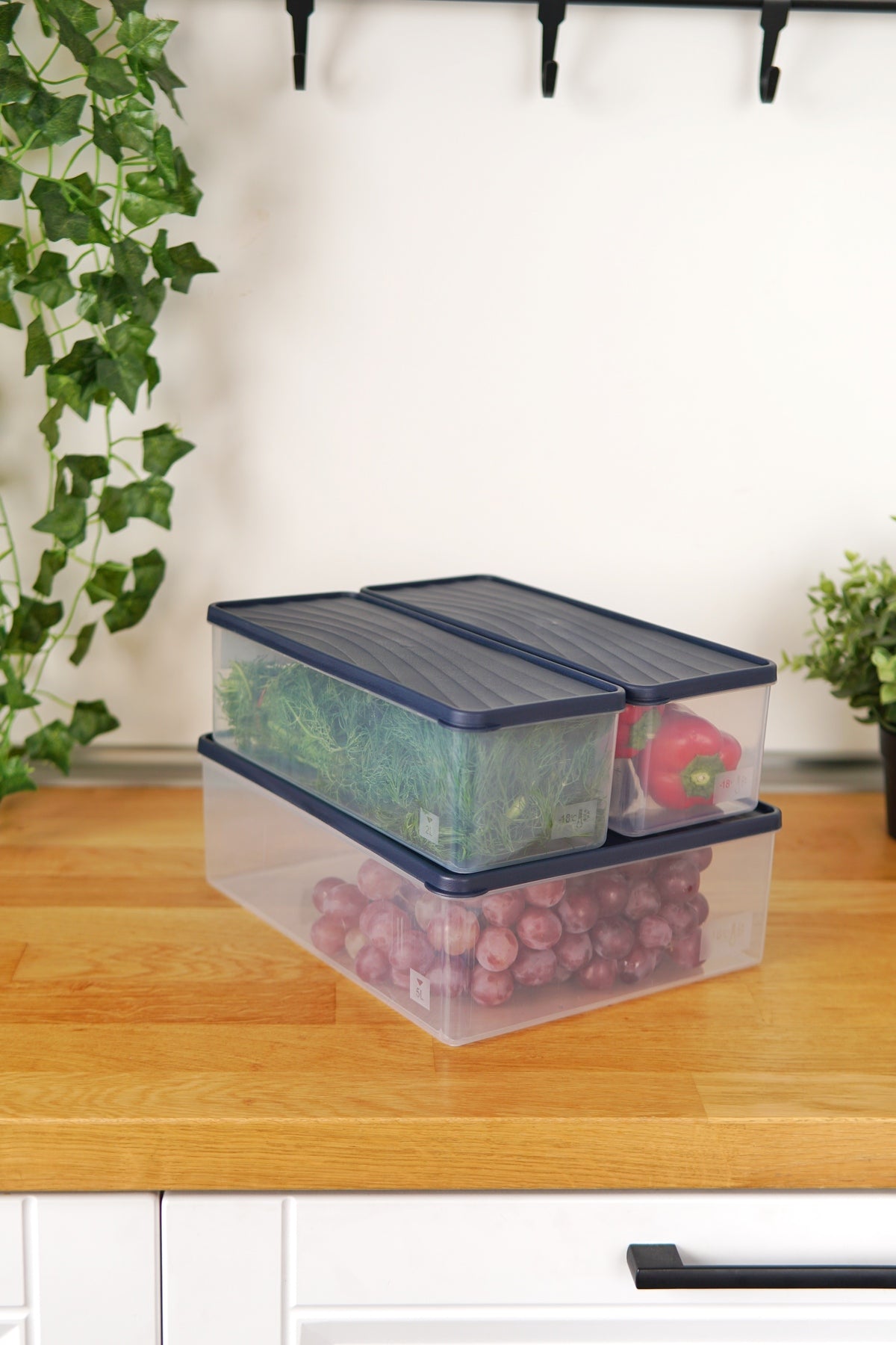 Evle Derin Dondurucu Saklama Kabı 3'lü Set (5 Lt + 2 x 2 Lt), Mavi